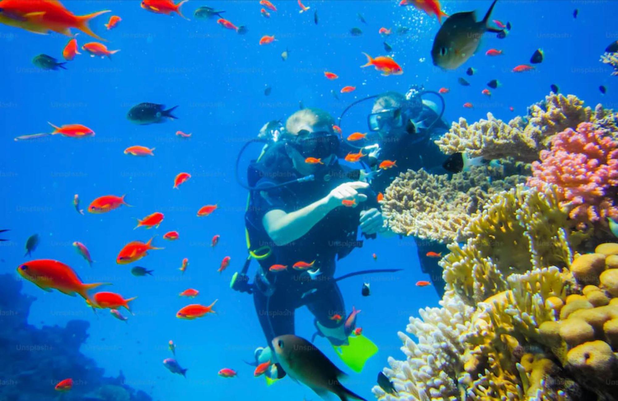 Lobster Bay Lombok Otel Awang Dış mekan fotoğraf